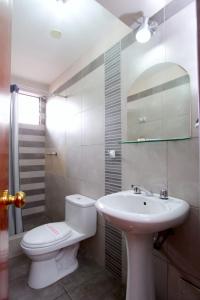 阿雷基帕Hotel La Mansion Del Sol的浴室配有白色卫生间和盥洗盆。