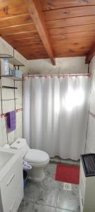 圣马丁德洛斯Paluna cabaña的一间带卫生间和淋浴帘的浴室