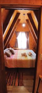 圣马丁德洛斯Paluna cabaña的木制客房的一张床位,设有窗户
