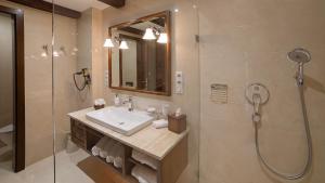 班斯卡 - 什佳夫尼察Boutique Hotel ERB - Adults Only的一间带水槽和淋浴的浴室