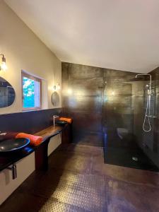 奥普La cabane de babarot的带淋浴和盥洗盆的浴室