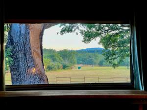 奥普La cabane de babarot的享有田野和树景的窗户