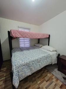 圣地亚哥Hostal Pura Vida的一间卧室配有一张带天蓬的床