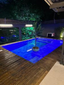 朱奎Casa térrea com acessibilidade em Juquehy com piscina aquecida e hidromassagem的棕榈树在泳池旁的池塘里