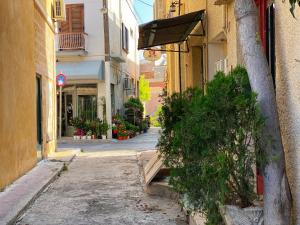 爱琴娜岛Nasos Aegina Apartment的城市中拥有建筑和植物的小巷