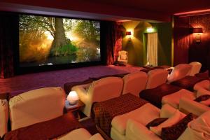布尔格BLEICHE RESORT & SPA的电影室,配有椅子和大屏幕