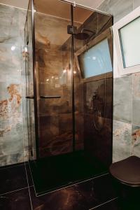 DragomirnaFamous Chalet Dragomirna的浴室里设有玻璃门淋浴