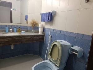 阿吉曼شقة كبيرة وفخمة large and luxury two bedroom的蓝色的浴室设有卫生间和水槽