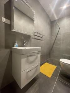 巴斯卡Dupini的一间带水槽和卫生间的浴室