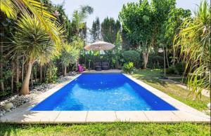 BouskouraVilla Eden luxe的棕榈树后院的游泳池