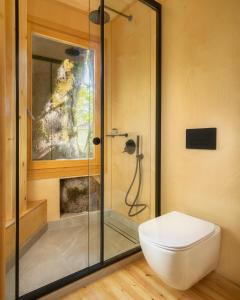 科尼察Κonitsa Gefyri hotel的浴室设有玻璃淋浴间和卫生间