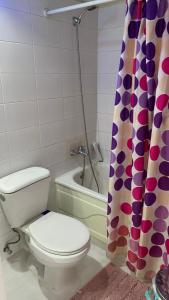 圣地亚哥Jardines的一间带卫生间和淋浴帘的浴室