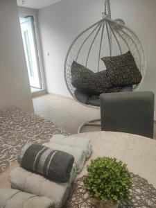 彼得罗瓦拉丁Villa Klaudija的客房配有床、椅子和枕头。