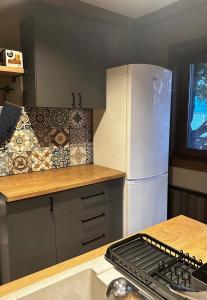 韦林格勒Villa Monte的厨房配有冰箱和台面
