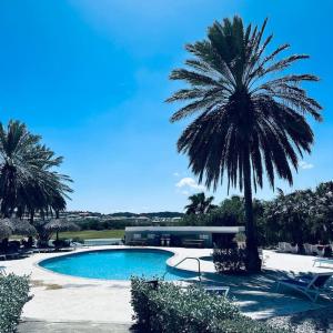 威廉斯塔德Villa at Blue Bay Resort with stunning view的游泳池旁的棕榈树