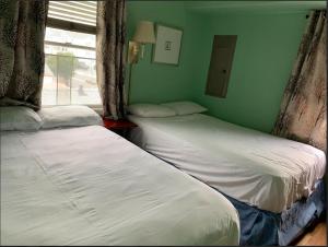 怀尔德伍德Sun Shine的带窗户的客房内设有两张单人床。
