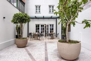 卢布尔雅那Bloom Hotel的庭院里有两个大锅,里面种有树木