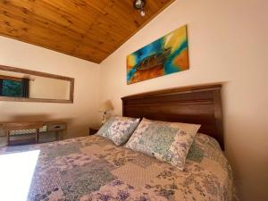 奥尔穆埃Cabañas SPA Olmue的卧室配有一张床,墙上挂有绘画作品