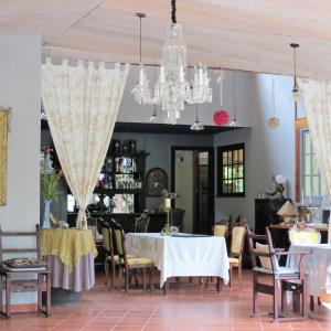 Alto BoqueteSCHUMANN'S RESORT & PARK的一间带桌椅和吊灯的用餐室