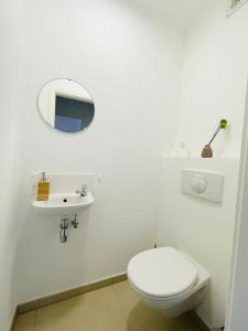 卢森堡Luxury Green Penthouse Terrace&Parking - 117的白色的浴室设有卫生间和水槽。