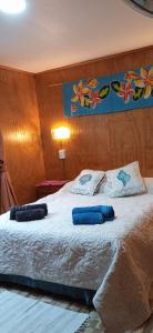 安加罗阿Cabañas & Hostal Tojika的一间卧室配有一张带两个枕头的床