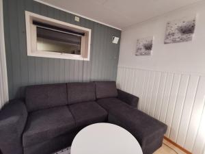 KvaloyslettaSpacious apartment on Kvaløya的带沙发和电视的客厅