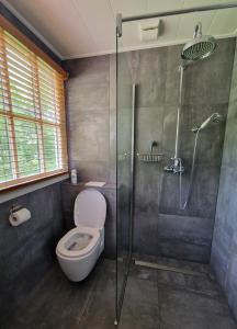 福尔特赫伊曾Bed & Breakfast Hoeve Happiness的一间带卫生间和玻璃淋浴间的浴室