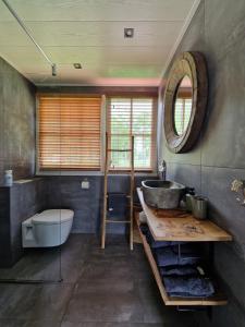 福尔特赫伊曾Bed & Breakfast Hoeve Happiness的一间带水槽、卫生间和镜子的浴室