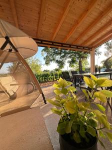 扎达尔Relax and Unwind: Family-Friendly House near Zadar in Zagrad的一个带雨伞和盆栽的庭院