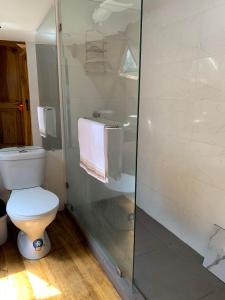 明多Magic Elf Glamping的一间带卫生间和玻璃淋浴间的浴室