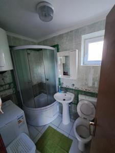 扎布利亚克Wolf Apartment的带淋浴、卫生间和盥洗盆的浴室