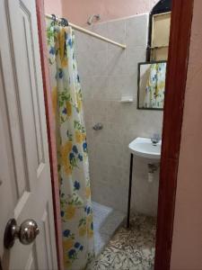 SuchitotoHostal Delmy的浴室配有淋浴帘和盥洗盆。