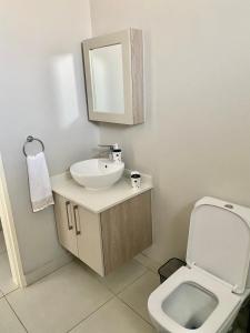 米德兰Ladybug unit 3 (2)的一间带水槽、卫生间和镜子的浴室