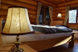 韦尔卡鲁穆尼卡Lodge Tatras的一间卧室配有一张带台灯的床铺,