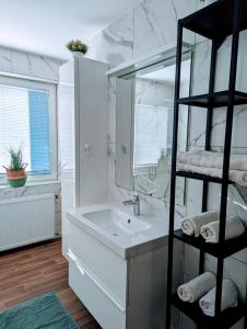 克拉尼Domen's cozy rentals的白色的浴室设有水槽和镜子