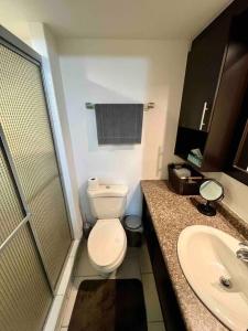特古西加尔巴Modern Condo in Ecovivienda的浴室配有卫生间、盥洗盆和淋浴。