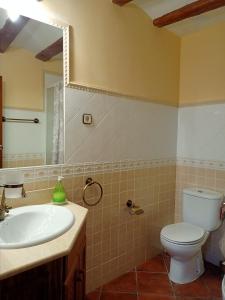 佩拉莱霍斯德拉斯特鲁查斯El Rincon Del Tajo的一间带水槽、卫生间和镜子的浴室