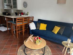 特里罗杰Cozy one bedroom apartment in a secure complex , PORT CHAMBLY Mauritius的客厅配有蓝色的沙发和桌子
