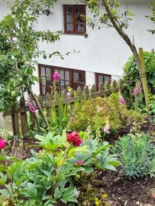 East BudleighDelightful Devon Cottage的一座花园,在房子前种有鲜花