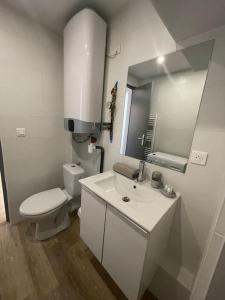 波城Studio cosy rue Alexander Taylor, Wifi, 2 pers的白色的浴室设有卫生间和水槽。