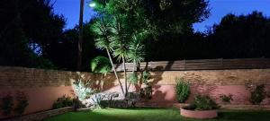 古维亚Villa Magic Perla的花园,花园的围栏和棕榈树
