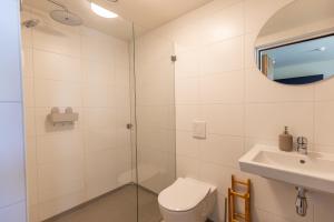 东弗利兰VlieMare Appartementen De Kluut的带淋浴、卫生间和盥洗盆的浴室
