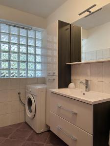 科巴里德Apartma Logar的一间带洗衣机和水槽的浴室