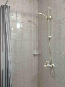大特尔诺沃Mira Home的带淋浴和浴帘的浴室