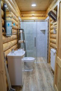 博尔若米Eco House Borjomi的浴室配有卫生间、盥洗盆和淋浴。