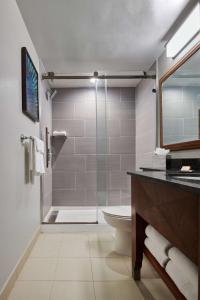 安克雷奇安克里奇希尔顿酒店的带淋浴、卫生间和盥洗盆的浴室