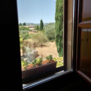 BuccheriLe Case Di S. Andrea的享有庭院景致的开放式窗户