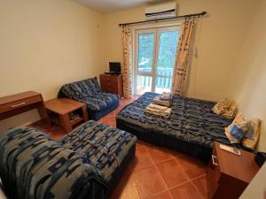 佩特罗瓦纳莫鲁Relax Apartments的一间带两张床和一张沙发的客厅