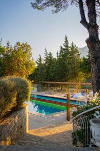 达特恰Kairos Valley Health & Nature Resort的树下的度假胜地的游泳池