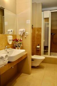 凯尔采泰科佐维梅林酒店的一间带水槽、卫生间和镜子的浴室
